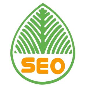 兰陵提升网站移动适配的注意事项